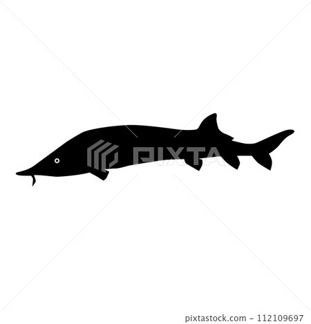Beluga Sturgeon or Huso Fish Silhouette 112109697