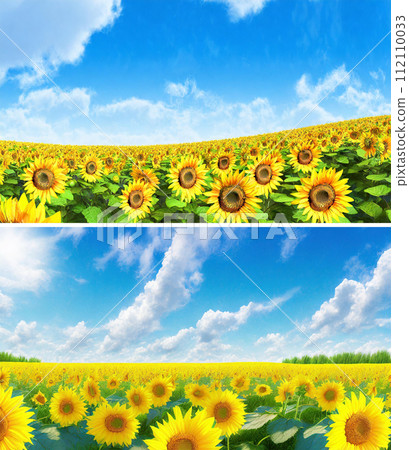 Summer blue sky and sunflower field landscape/July birth flower (2 images) | Copyright issues cleared adobe AI image editing 112110033