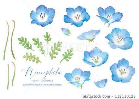 Cartoon illustration of nemophila painted in watercolor Cartoon illustration of nemophila painted in watercolor 112110123