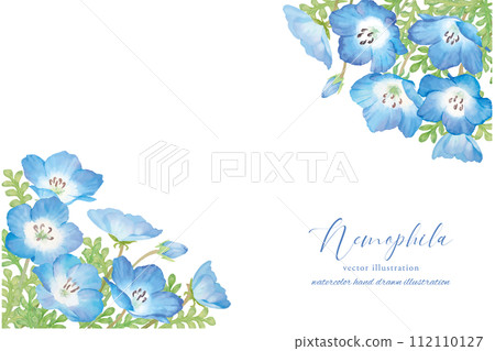 Anemone frame with anemone and gentle touch Anemone frame with anemone and gentle touch 112110127
