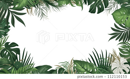 AI-generated content. Tropical leaves nature frame layout of Monstera, isolated, white background 112110153