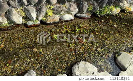 the clear flow of the brook the clear flow of the brook 112110221