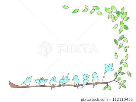 Blue bird and fresh green frame Blue bird and fresh green frame 112110436