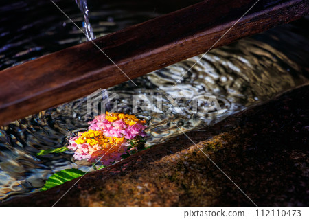 Sacred Chozuya and Lantana flowers. The main image of the sacred Aizen Myoo-do Hall, etc. Negatayama Nature Park near Shimoda Station, which you can climb by ropeway Sacred Chozuya and Lantana flowers. The main image of the sacred Aizen Myoo-do Hall, etc. Negatayama Nature Park near Shimoda Station, which you can climb by ropeway 112110473