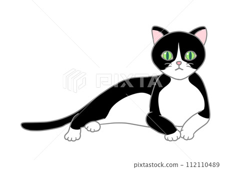 A cat with a honeycomb is in a relaxed position, raising its upper body and looking straight ahead. A cat with a honeycomb is in a relaxed position, raising its upper body and looking straight ahead. 112110489