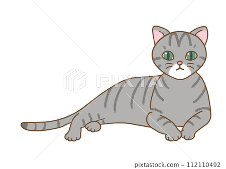 A black pheasant and mackerel cat is in a relaxed position, raising its upper body and looking straight ahead. A black pheasant and mackerel cat is in a relaxed position, raising its upper body and looking straight ahead. 112110492