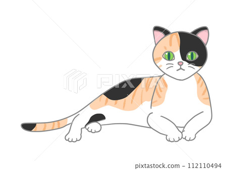 A black calico cat is in a relaxed position, raising its upper body and looking straight ahead. 112110494