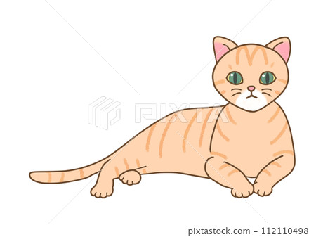 A brown tabby cat is in a relaxed position with its upper body raised and looking straight ahead. A brown tabby cat is in a relaxed position with its upper body raised and looking straight ahead. 112110498