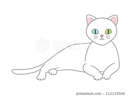 An odd-eyed white cat is in a relaxed position, lifting its upper body and looking straight ahead. An odd-eyed white cat is in a relaxed position, lifting its upper body and looking straight ahead. 112110500