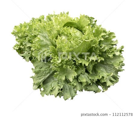 lettuce vegetable material cutout 112112578