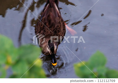 Perry Road is associated with Commodore Perry of the United States, who was deeply involved in the opening of Japan to the world. Shimoda townscape full of ancient history 112112709