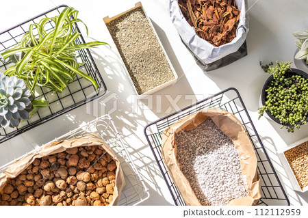 Variegated monstera growing care equipment exotic houseplant transplant top view isolated on white 112112959