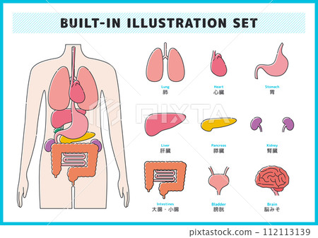 Illustration material set of human body and organs Illustration material set of human body and organs 112113139