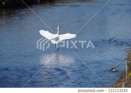 神社 神社 112113285