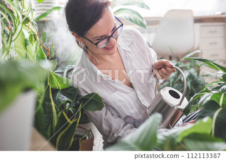 A young woman is watering and caring for a houseplant Banana and sansiveria. 112113387