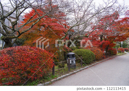 Autumn leaves on the Kyoto philosophy road Autumn leaves on the Kyoto philosophy road 112113415