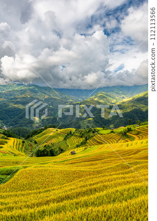 Rice fields on terraced of Mu Cang Chai, YenBai, Vietnam. 112113566