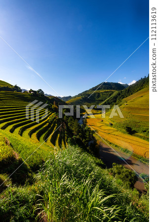 Rice fields on terraced of Mu Cang Chai, YenBai, Vietnam. Rice fields on terraced of Mu Cang Chai, YenBai, Vietnam. 112113619