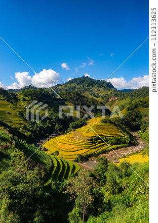 Rice fields on terraced of Mu Cang Chai, YenBai, Vietnam. Rice fields on terraced of Mu Cang Chai, YenBai, Vietnam. 112113625