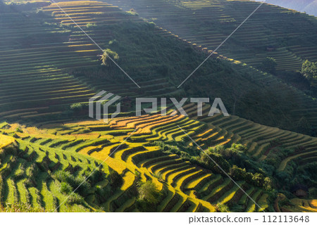 Rice fields on terraced of Mu Cang Chai, YenBai, Vietnam. Rice fields on terraced of Mu Cang Chai, YenBai, Vietnam. 112113648