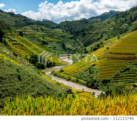 Rice fields on terraced of Mu Cang Chai, YenBai, Vietnam. 112113746