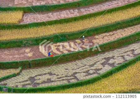Rice fields on terraced of Mu Cang Chai, YenBai, Vietnam. 112113905