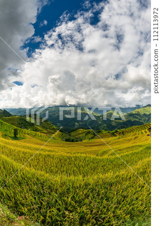 Rice fields on terraced of Mu Cang Chai, YenBai, Vietnam. 112113972