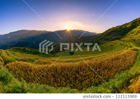 Rice fields on terraced of Mu Cang Chai, YenBai, Vietnam. 112113989