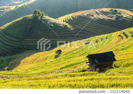Rice fields on terraced of Mu Cang Chai, YenBai, Vietnam. 112114040