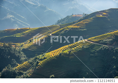 Rice fields on terraced of Mu Cang Chai, YenBai, Vietnam. Rice fields on terraced of Mu Cang Chai, YenBai, Vietnam. 112114051