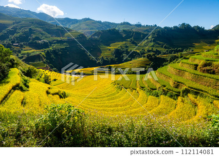Rice fields on terraced of Mu Cang Chai, YenBai, Vietnam. Rice fields on terraced of Mu Cang Chai, YenBai, Vietnam. 112114081