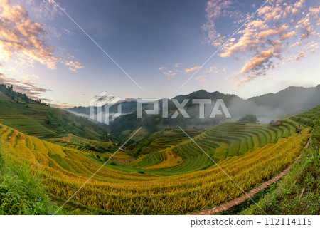 Rice fields on terraced of Mu Cang Chai, YenBai, Vietnam. 112114115
