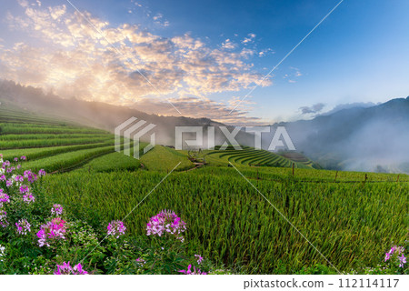 Rice fields on terraced of Mu Cang Chai, YenBai, Vietnam. Rice fields on terraced of Mu Cang Chai, YenBai, Vietnam. 112114117