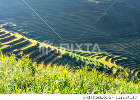 Rice fields on terraced of Mu Cang Chai, YenBai, Vietnam. 112114130