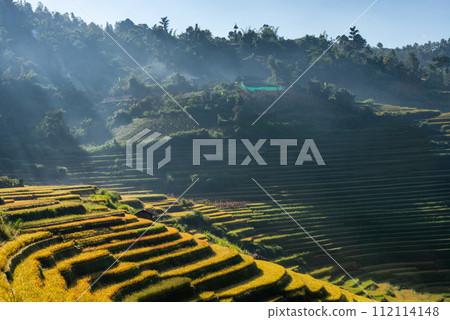 Rice fields on terraced of Mu Cang Chai, YenBai, Vietnam. Rice fields on terraced of Mu Cang Chai, YenBai, Vietnam. 112114148