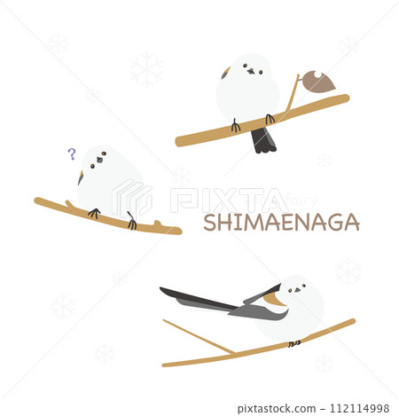 一隻長尾蛾棲息在樹枝上，歪著頭。 112114998