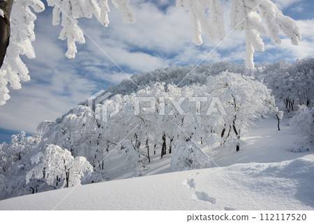 銀色世界 112117520