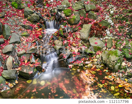 autumn river in the park 112117796