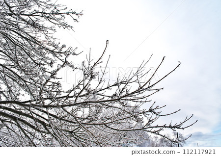 雨冰冰 雨冰冰 112117921