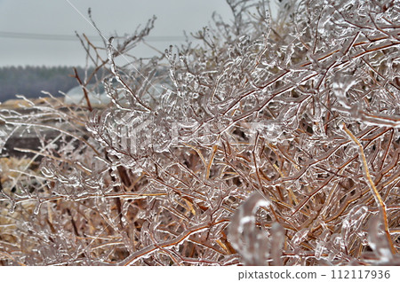 rain ice ice rain ice ice 112117936