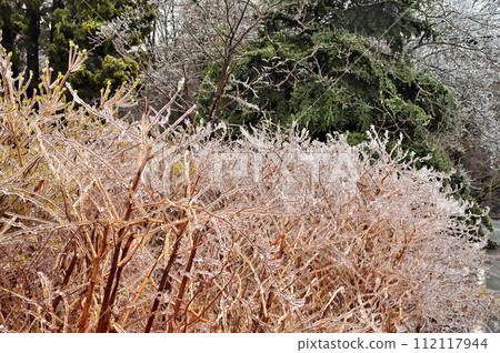 rain ice ice rain ice ice 112117944