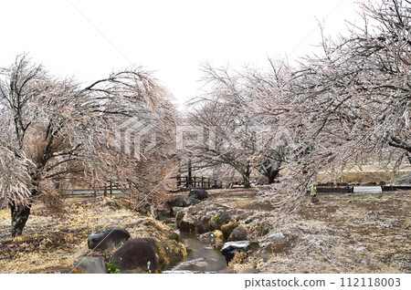 雨冰冰 雨冰冰 112118003