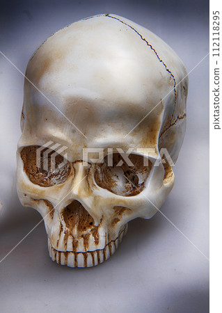 human skull bone in the shadow 112118295