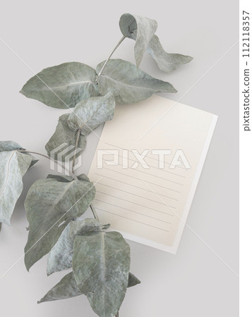 Postcard with eucalyptus branch flat lay composition on light gray background 112118357