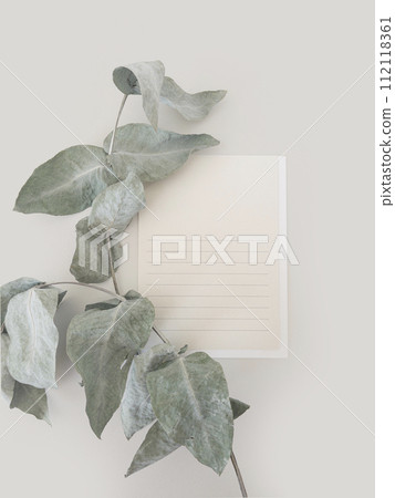 Postcard with eucalyptus branch flat lay composition on light gray background 112118361