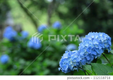 It gets wet when it rains It gets wet when it rains 112118718