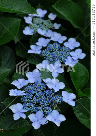 It gets wet when it rains 112118719