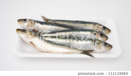 Sardine 112118960