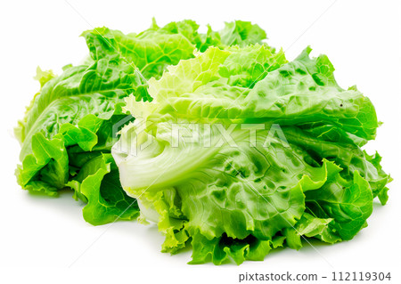 Crisphead, or iceberg lettuce isolated on white background. Fresh green salad leaves from garden 112119304