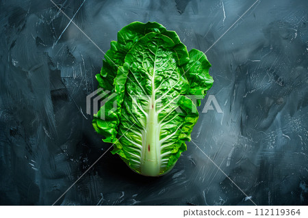 Cos Romaine lettuce isolated on white background. Fresh green salad leaves from garden Cos Romaine lettuce isolated on white background. Fresh green salad leaves from garden 112119364